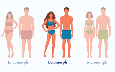 What Is the Ectomorph Body Type? The Complete Guide